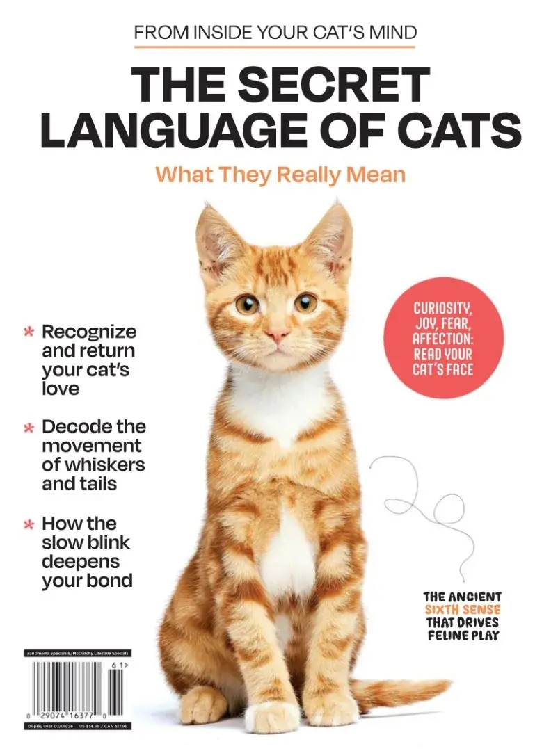 Inside Your Cats Mind – The Secret Language Of Cats, 2025